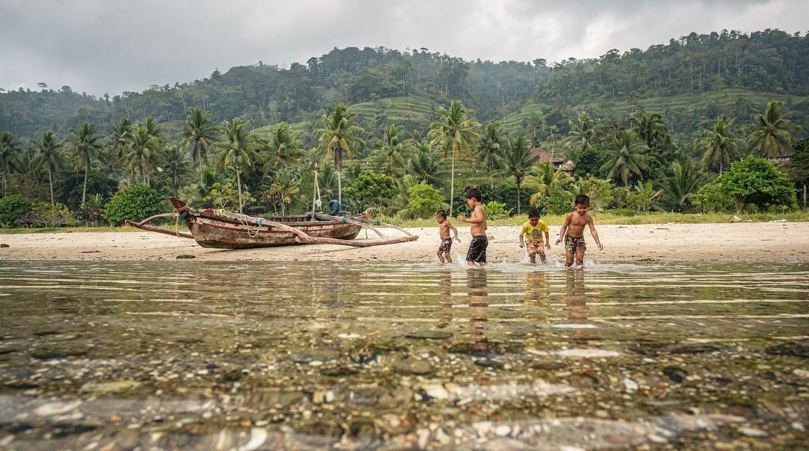 Bali's Monkey Forests: What to Actually Know Before You Go