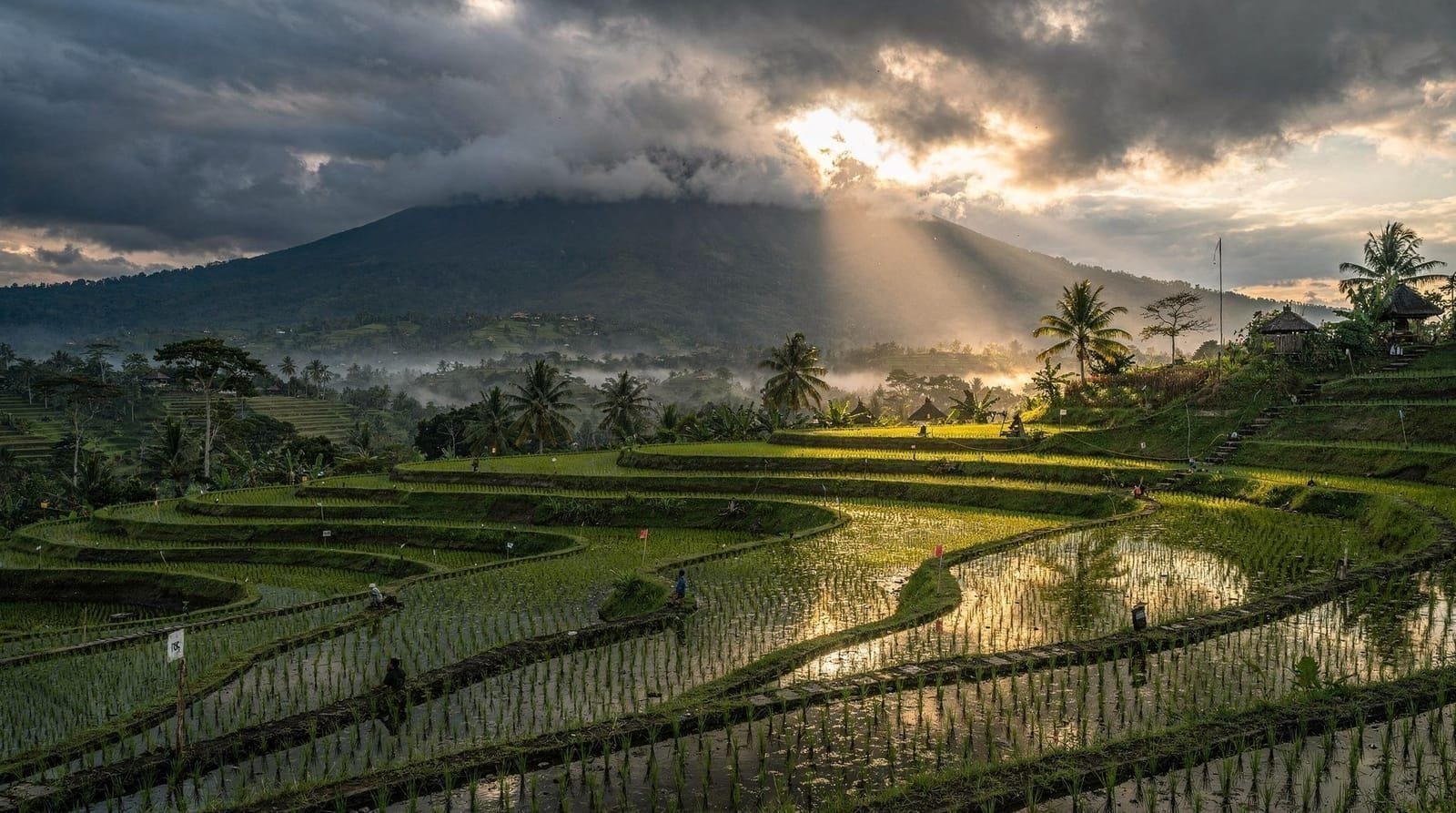 Bali in the Rainy Season: An Honest Review, Not a Sales Pitch