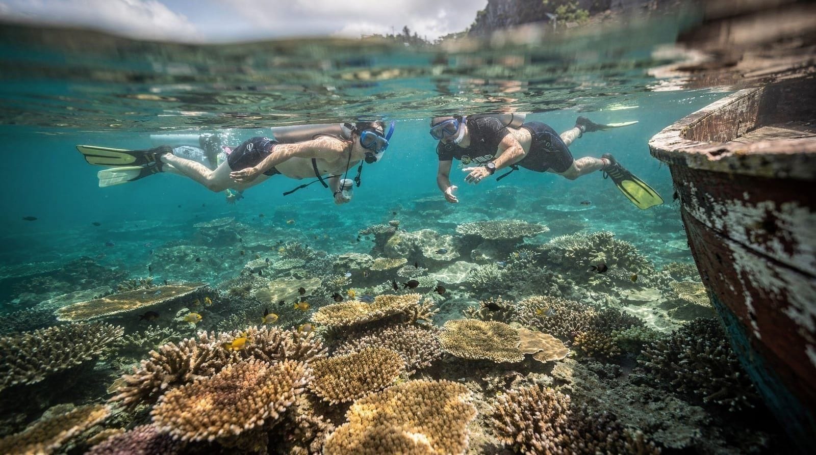Diving with Mola Mola in Bali: When and Where to Actually See Them
