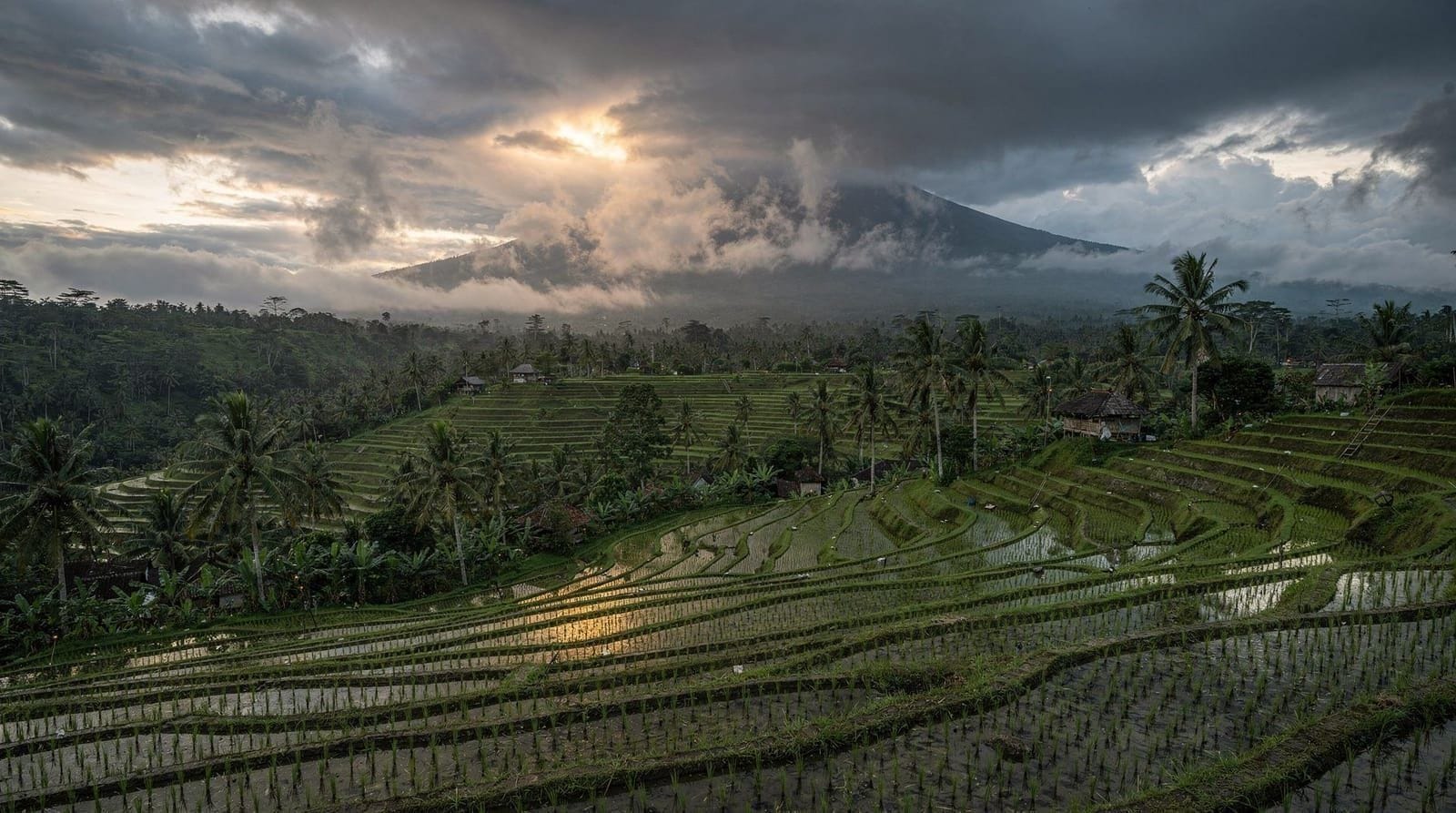 What Nyepi Is Actually Like If You're Caught in Bali