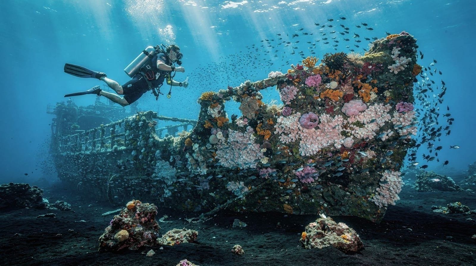 Diving and snorkelling