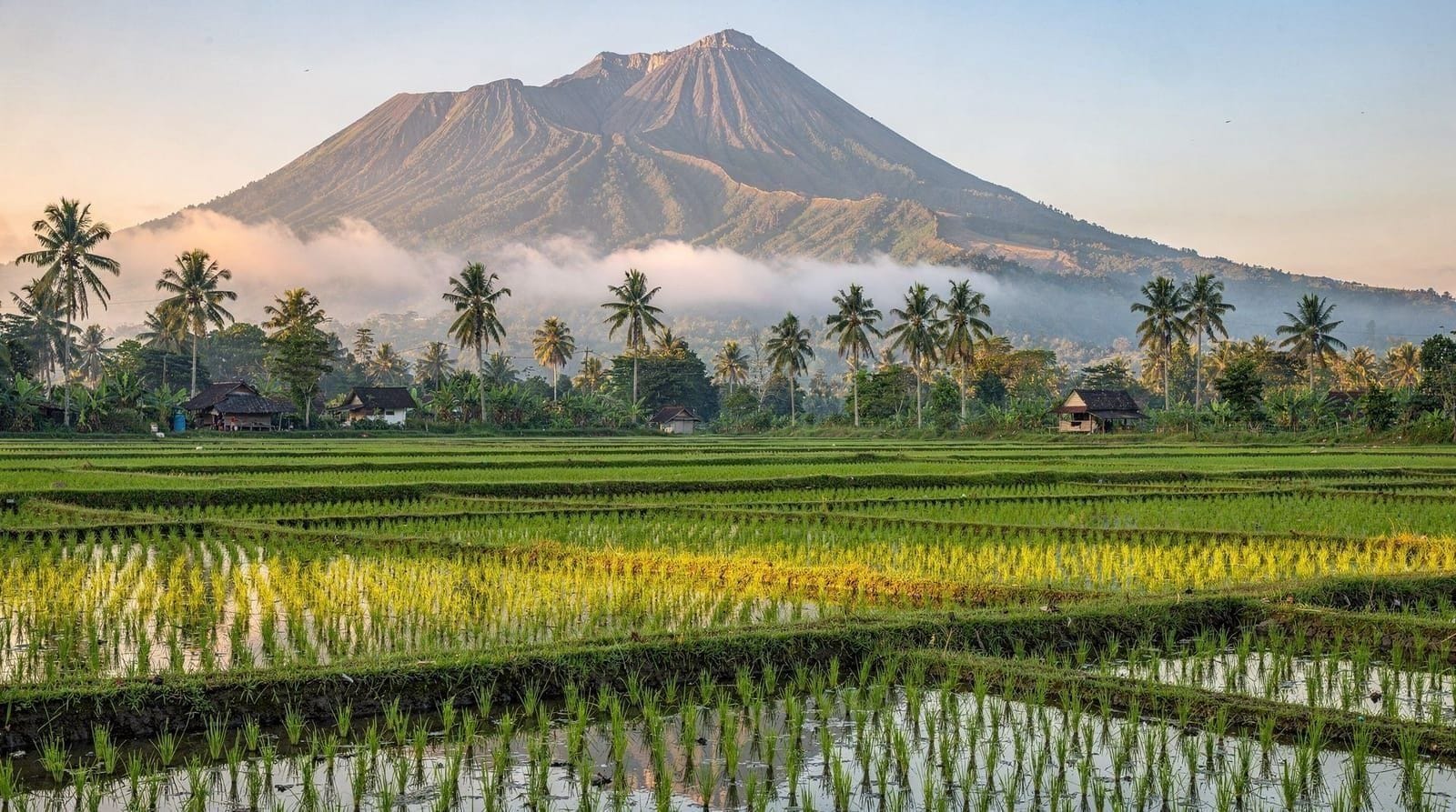 Banyuwangi