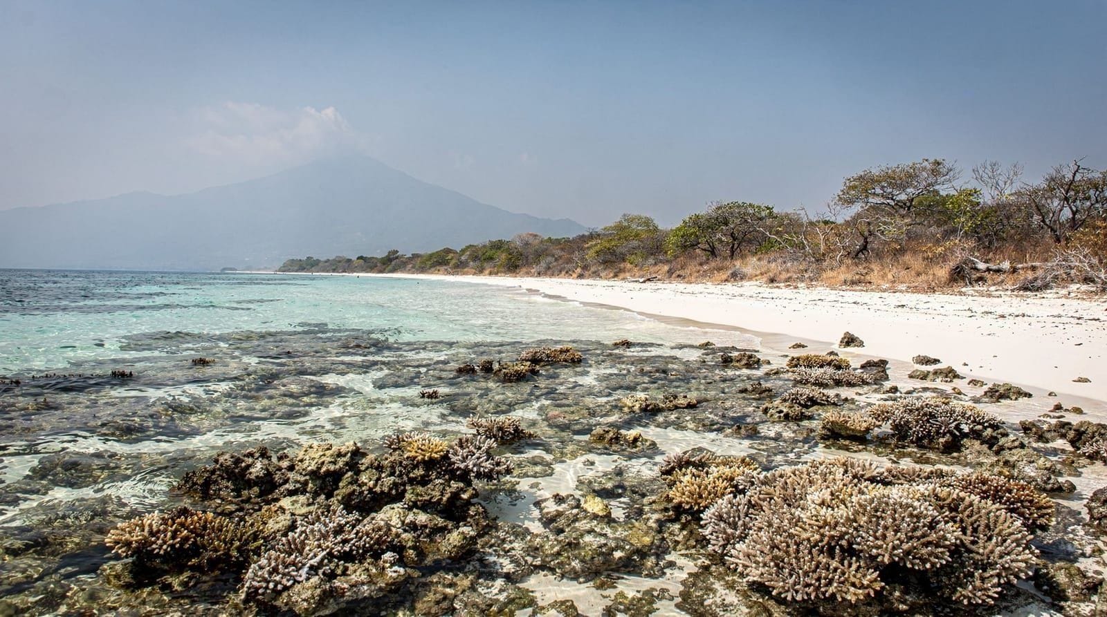 Menjangan Island