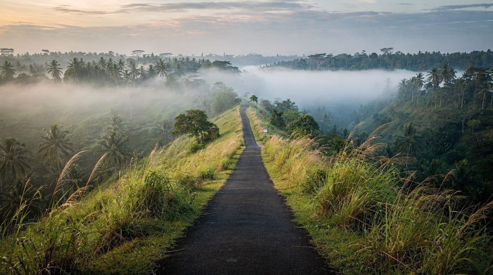 Ubud — rice terraces, temples and the cultural heart of Bali