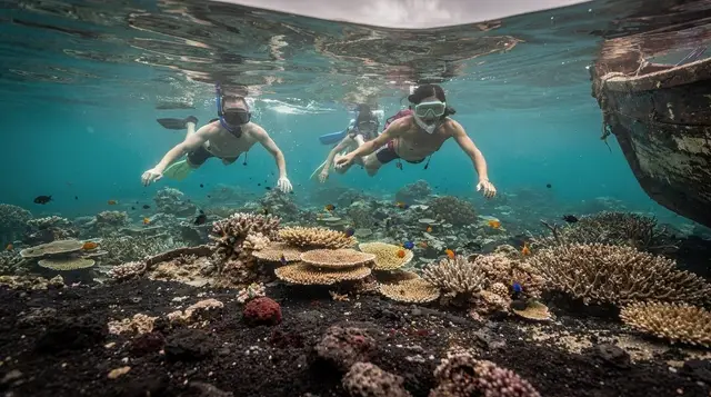 Amed Diving Guide: Bali's Quiet Coast for Muck and Wrecks