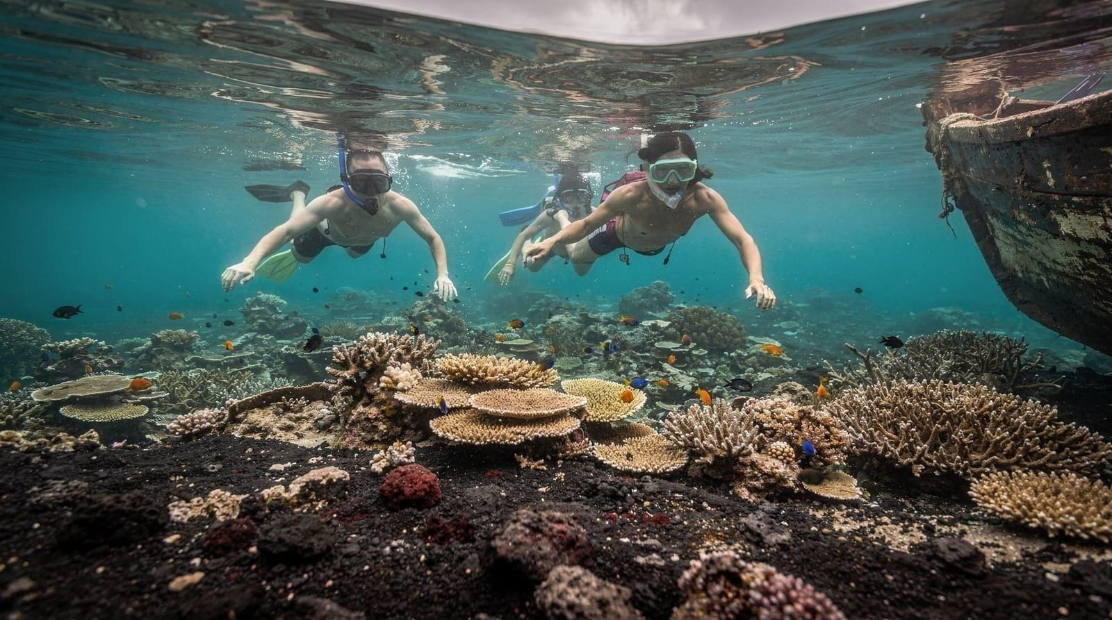 Amed Diving Guide: Bali's Quiet Coast for Muck and Wrecks