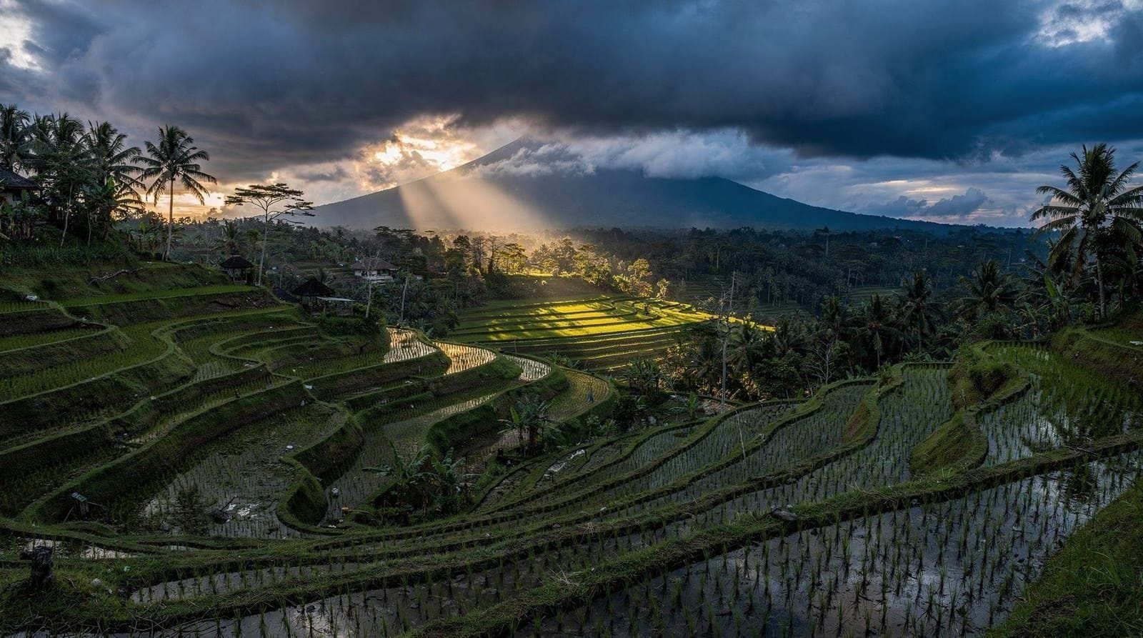 Bali in December: Weather, Crowds and What to Expect