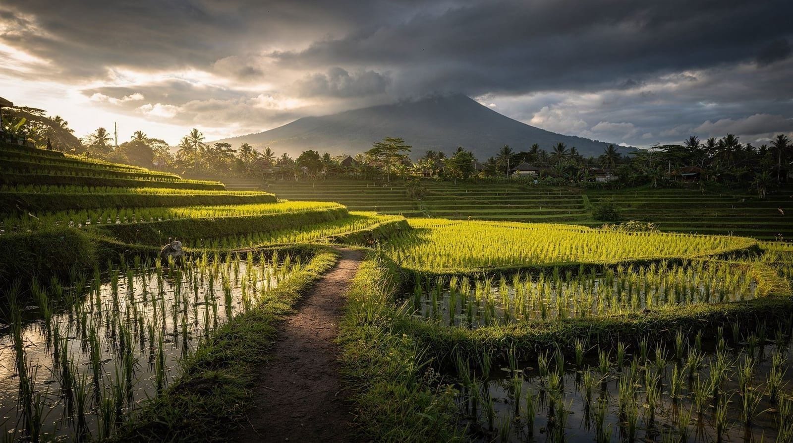 Bali in July and August: What to Expect Before You Book