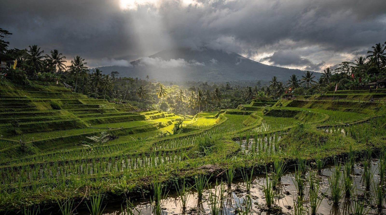 Bali in the Rainy Season: What It's Actually Like