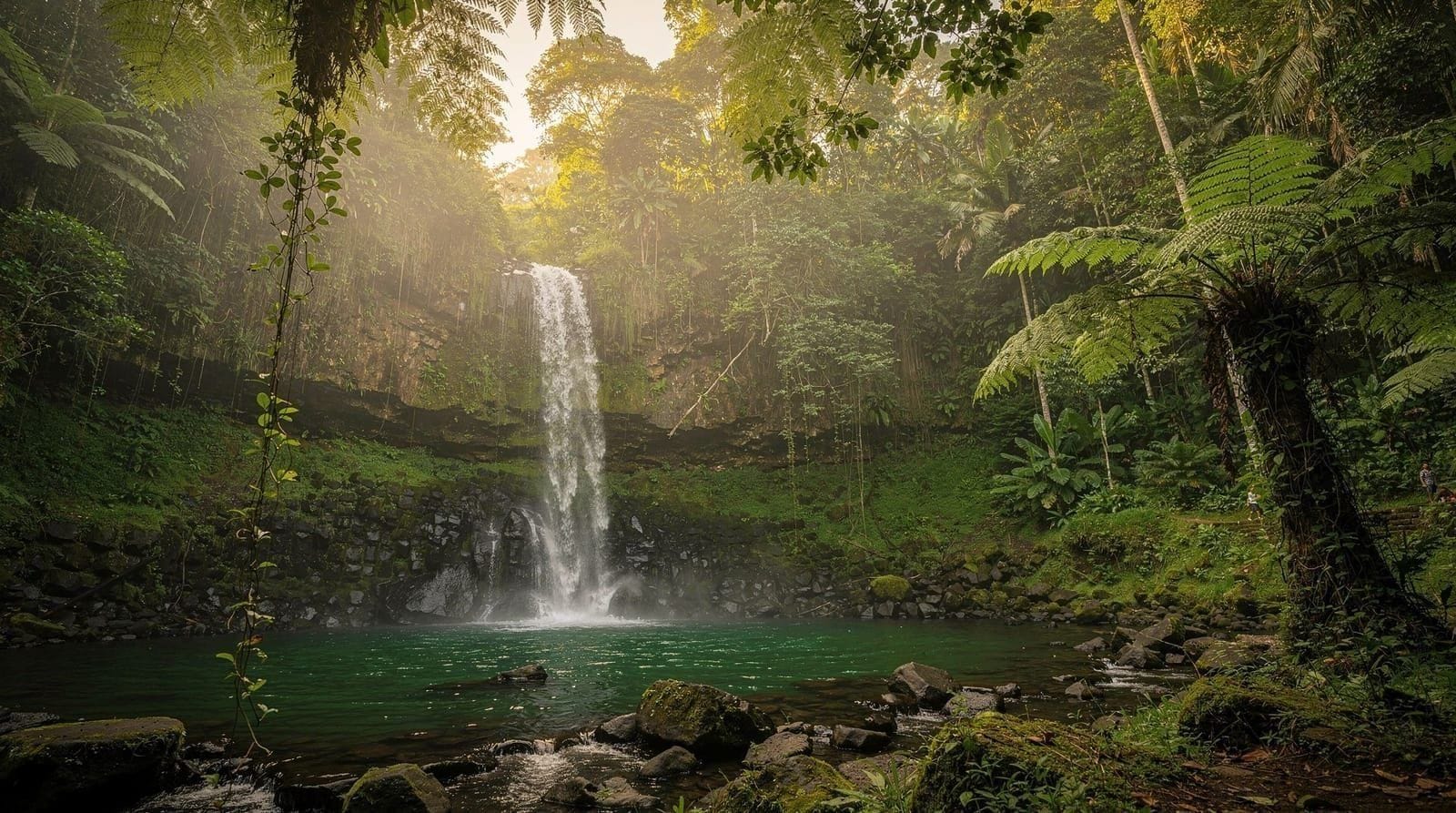 Jungle Trekking in Bali: Beyond the Rice Terrace Walks