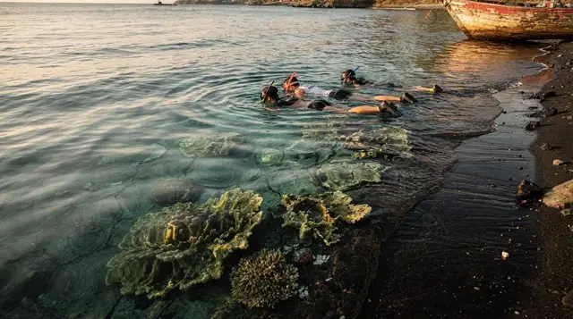 Bali Diving: An Honest Guide to Where and When