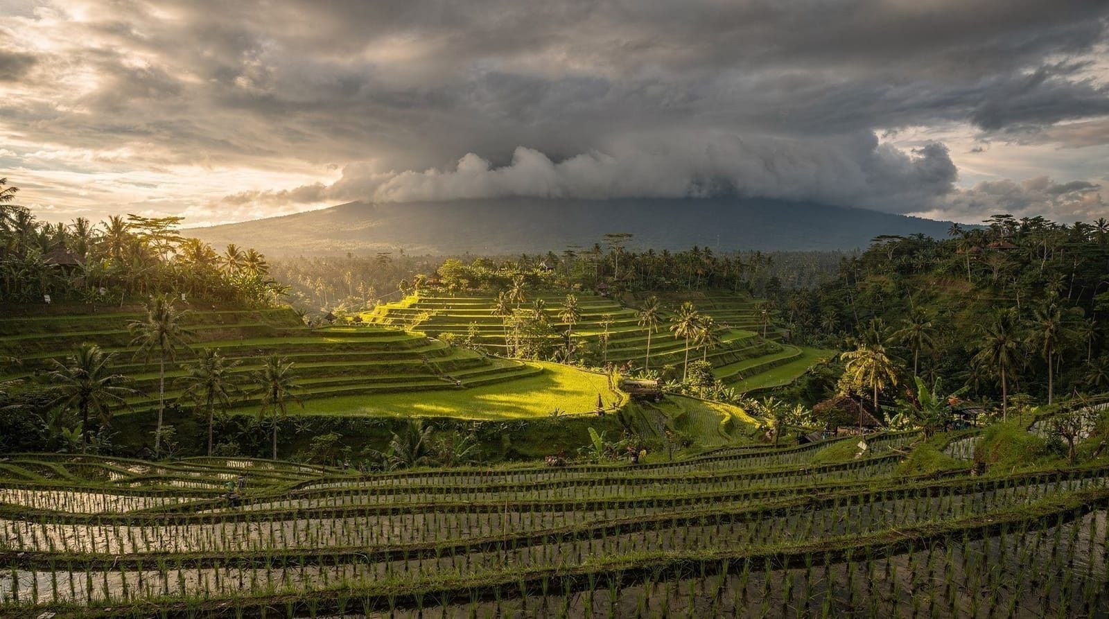 Best time to visit Bali