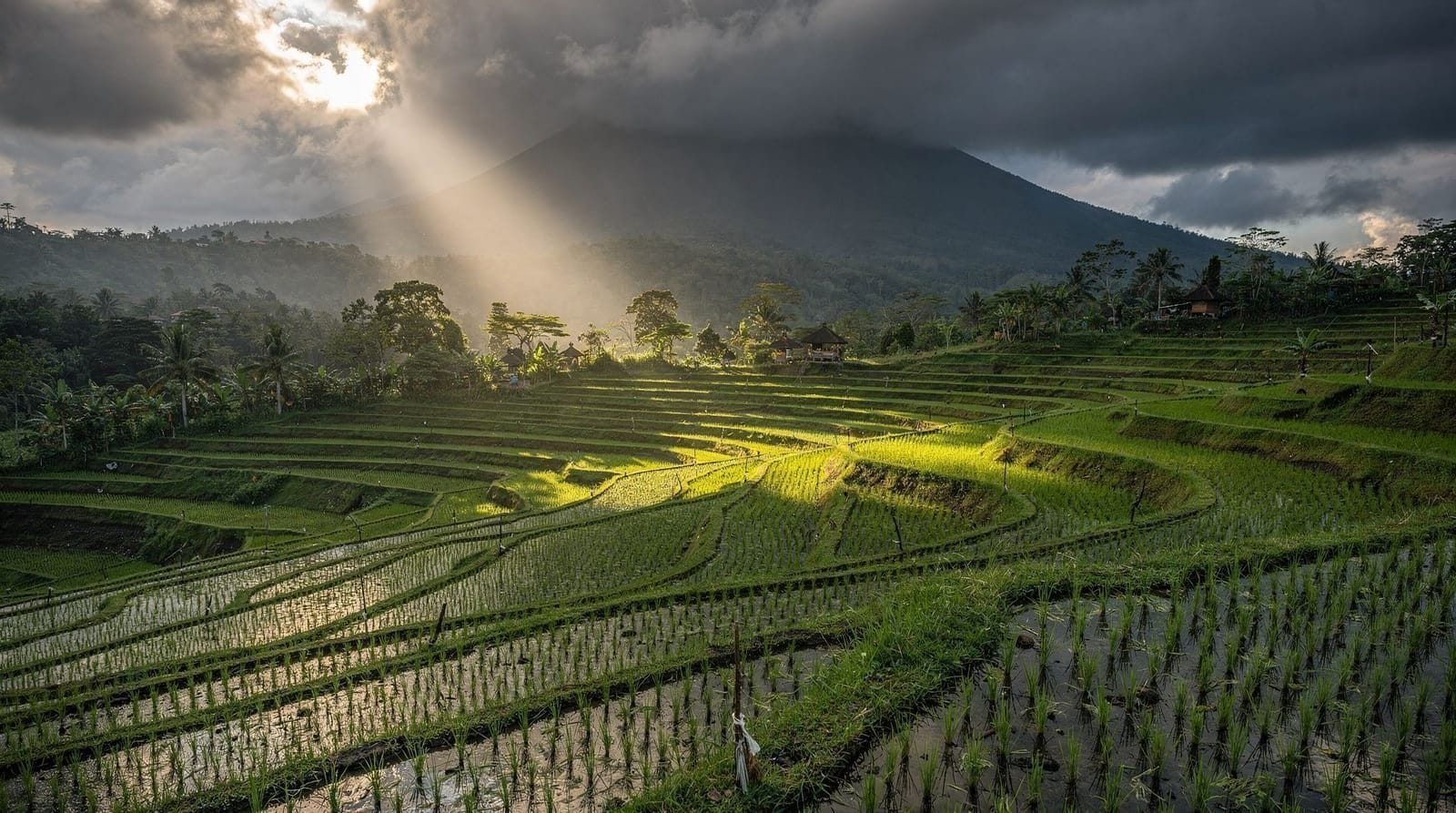 Galungan and Kuningan: Bali's Recurring Ten-Day Festival