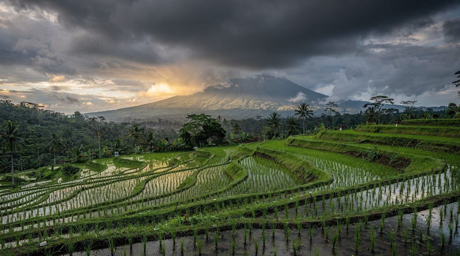 How Nyepi Affects Your Trip: What Actually Happens