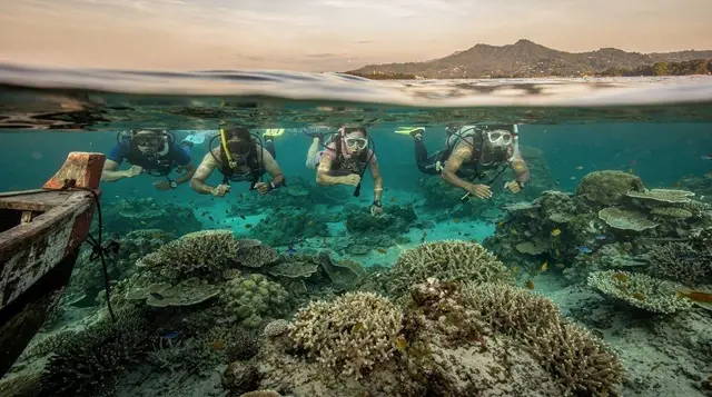 Diving Menjangan Island: Bali's Quiet Coral Wall