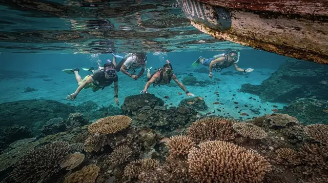 The Liberty Wreck at Tulamben: A Diver's Guide