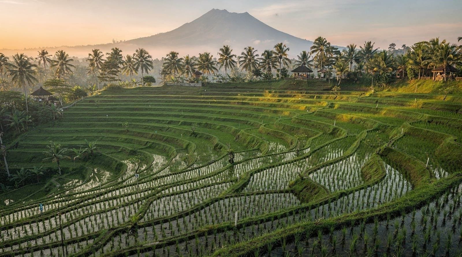 Rice terraces and a Hindu temple in Bali at sunset